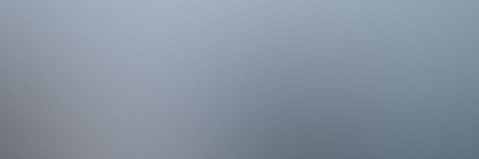 Dwight Coleman | Systems Engineer & Security Specialist